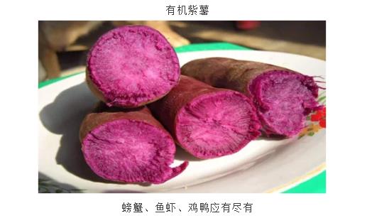 伟意国际(中国区)官方网站