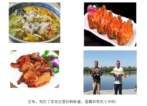 伟意国际(中国区)官方网站