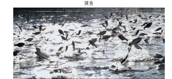 伟意国际(中国区)官方网站