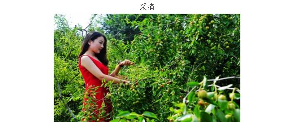 伟意国际(中国区)官方网站