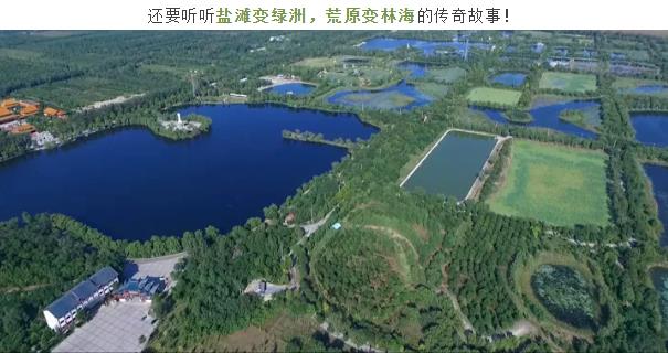 伟意国际(中国区)官方网站