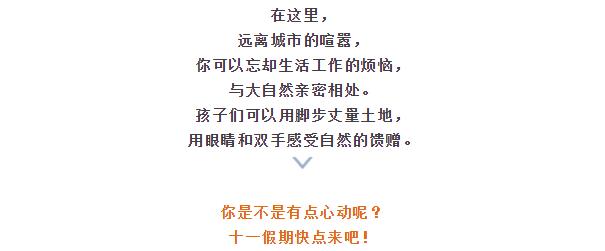 伟意国际(中国区)官方网站