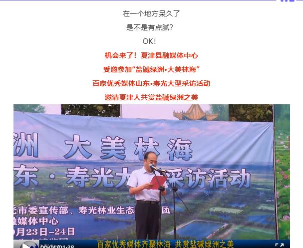 伟意国际(中国区)官方网站