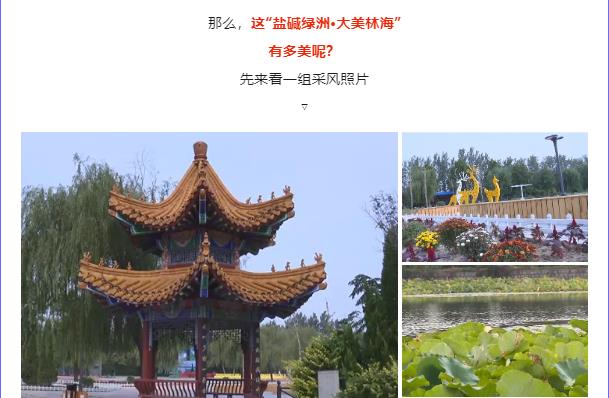 伟意国际(中国区)官方网站