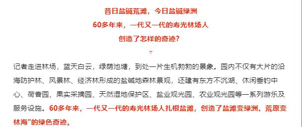伟意国际(中国区)官方网站