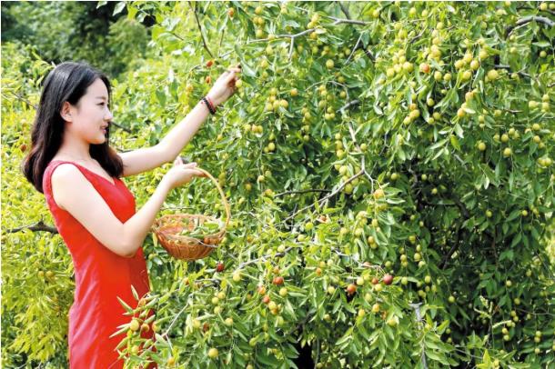 伟意国际(中国区)官方网站