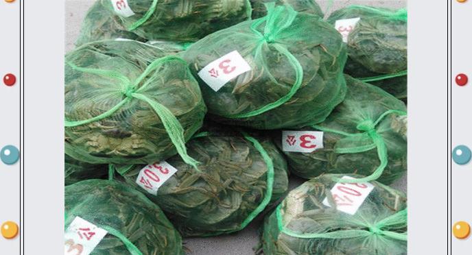 伟意国际(中国区)官方网站