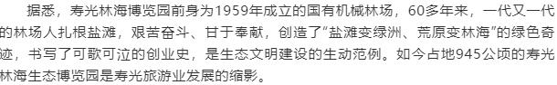伟意国际(中国区)官方网站