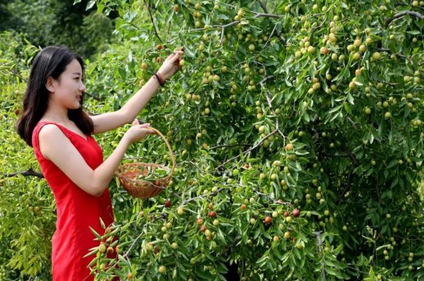 伟意国际(中国区)官方网站