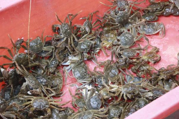 伟意国际(中国区)官方网站