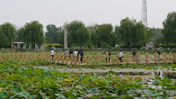 伟意国际(中国区)官方网站