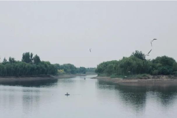 伟意国际(中国区)官方网站