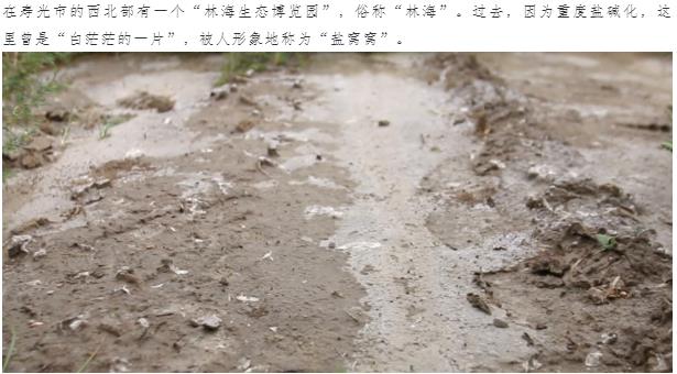 伟意国际(中国区)官方网站