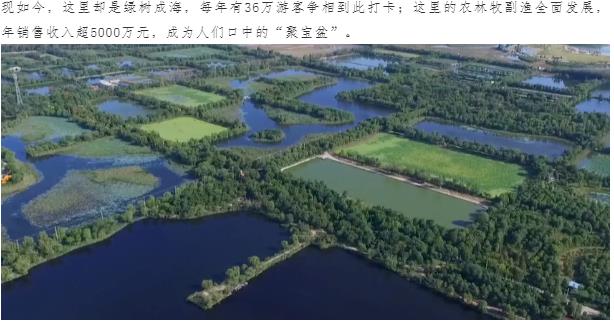 伟意国际(中国区)官方网站