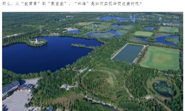 伟意国际(中国区)官方网站