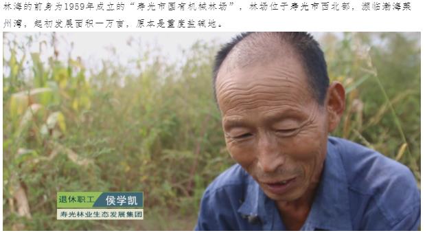 伟意国际(中国区)官方网站
