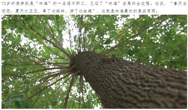 伟意国际(中国区)官方网站