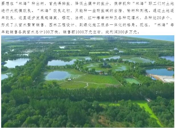 伟意国际(中国区)官方网站