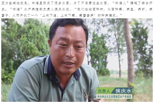 伟意国际(中国区)官方网站