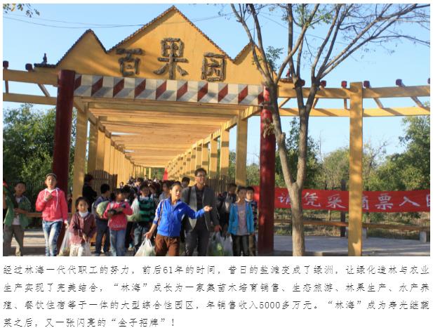 伟意国际(中国区)官方网站
