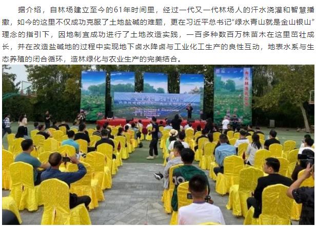 伟意国际(中国区)官方网站