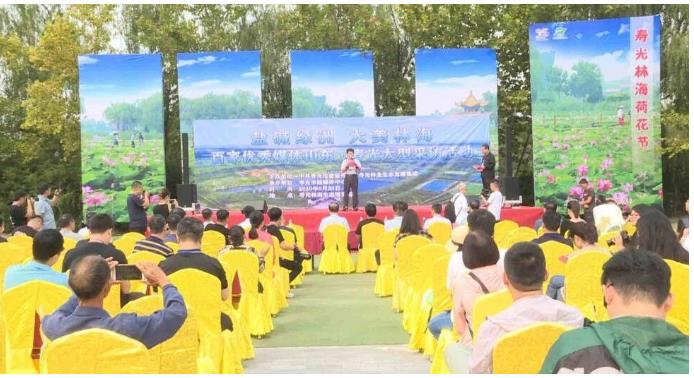 伟意国际(中国区)官方网站