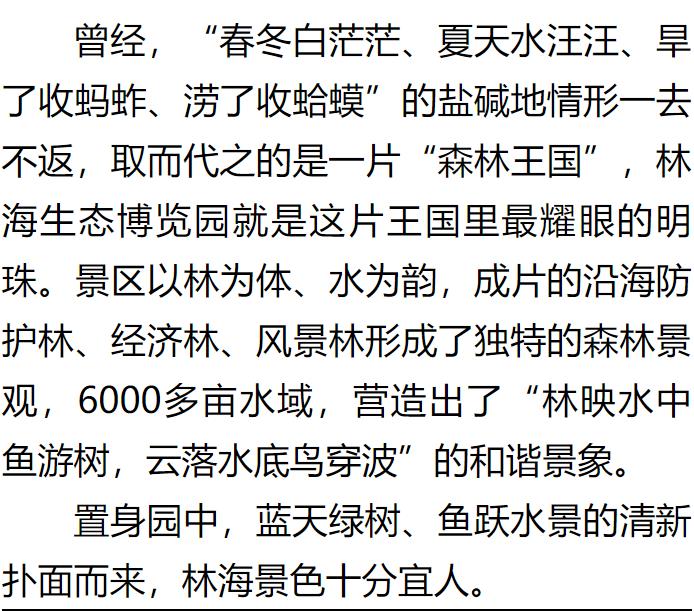 伟意国际(中国区)官方网站