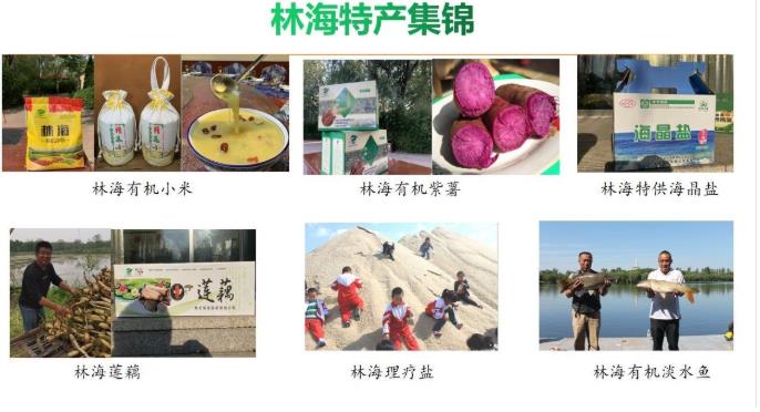 伟意国际(中国区)官方网站