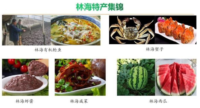 伟意国际(中国区)官方网站