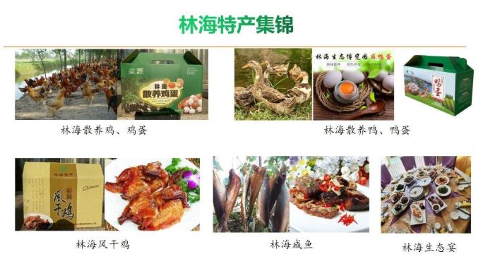 伟意国际(中国区)官方网站