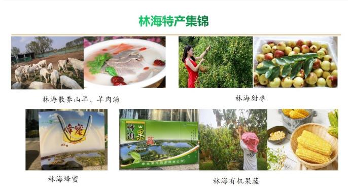 伟意国际(中国区)官方网站