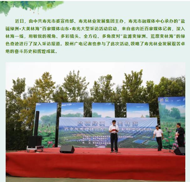 伟意国际(中国区)官方网站