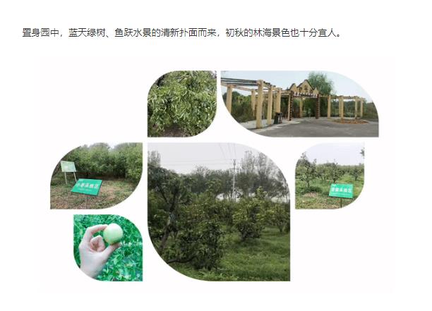 伟意国际(中国区)官方网站