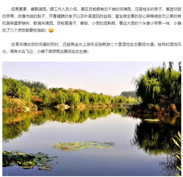 伟意国际(中国区)官方网站