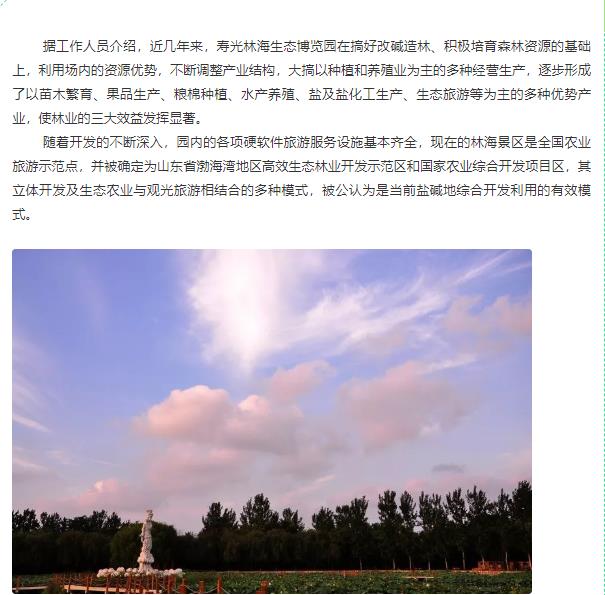 伟意国际(中国区)官方网站