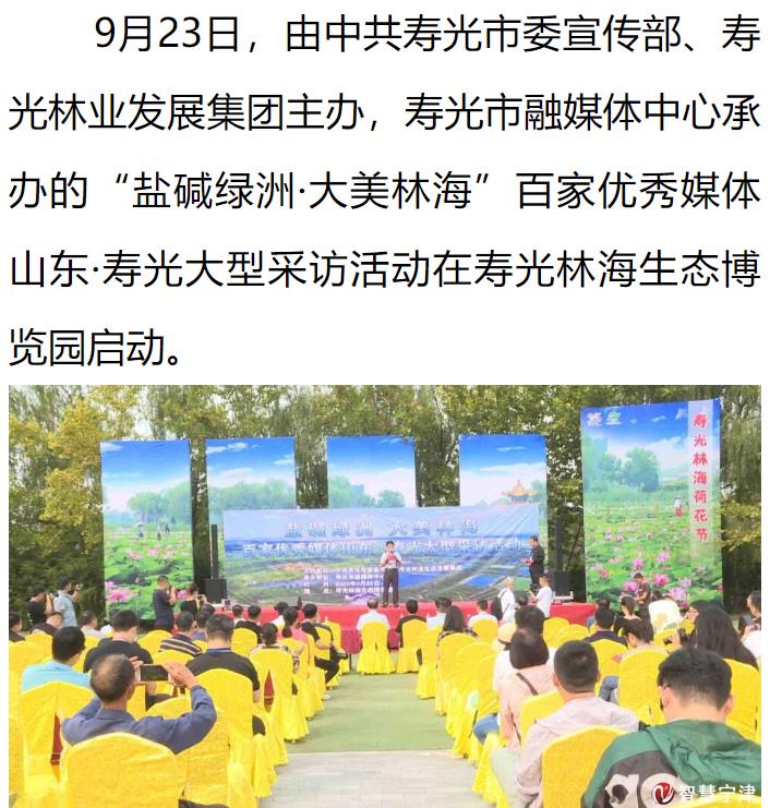 伟意国际(中国区)官方网站