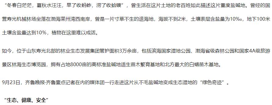 伟意国际(中国区)官方网站