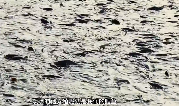 伟意国际(中国区)官方网站