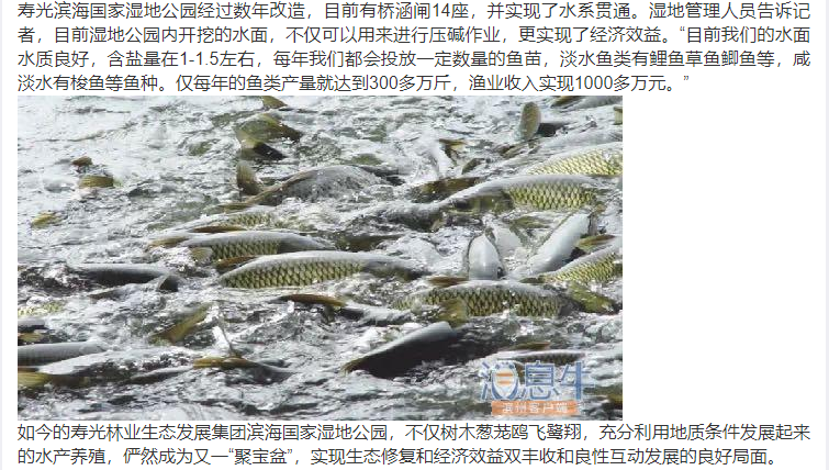 伟意国际(中国区)官方网站