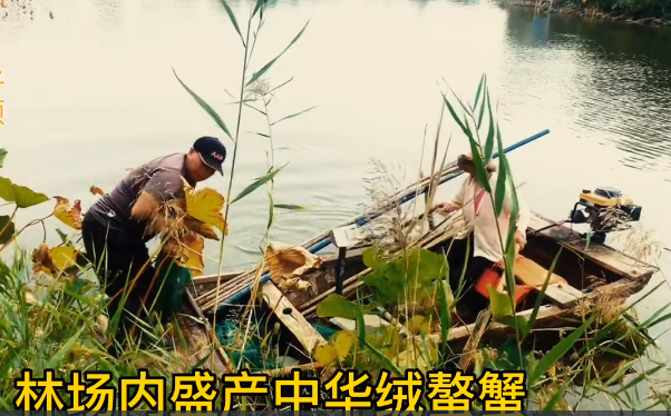 伟意国际(中国区)官方网站