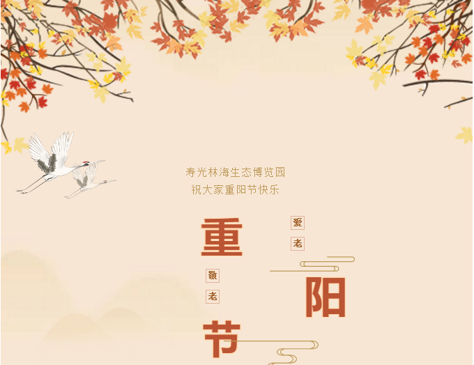 伟意国际(中国区)官方网站