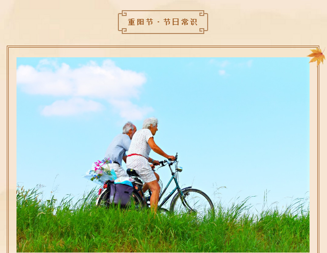 伟意国际(中国区)官方网站