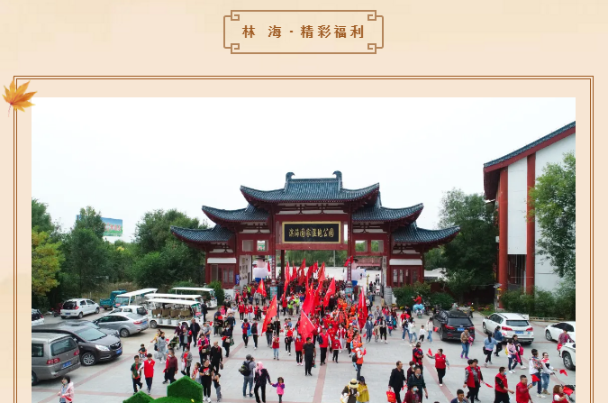 伟意国际(中国区)官方网站