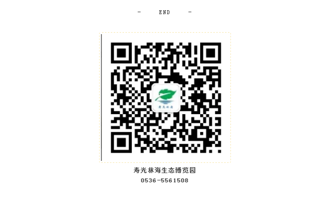 伟意国际(中国区)官方网站