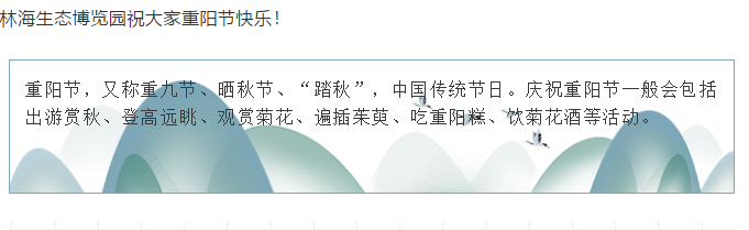 伟意国际(中国区)官方网站
