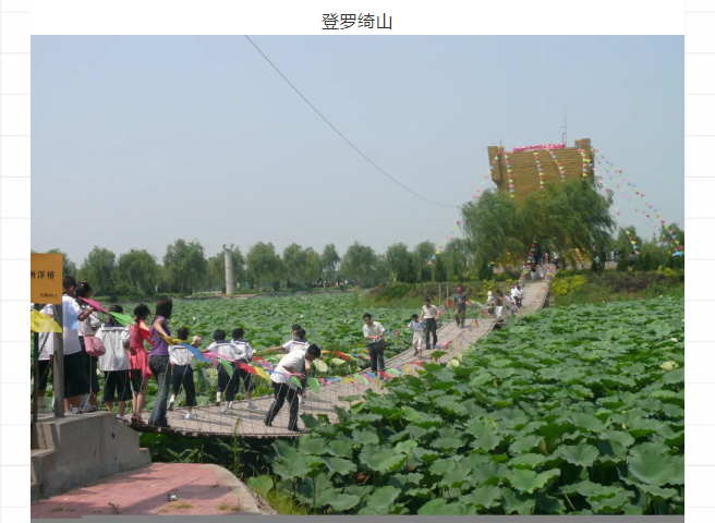 伟意国际(中国区)官方网站