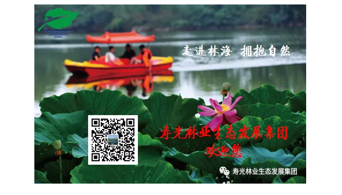 伟意国际(中国区)官方网站