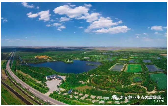 伟意国际(中国区)官方网站