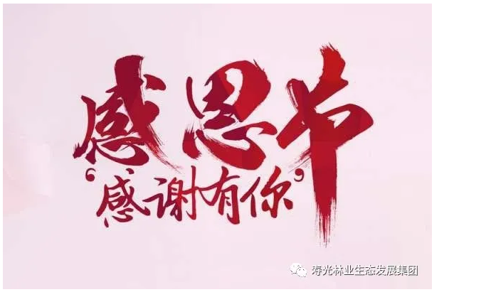 伟意国际(中国区)官方网站