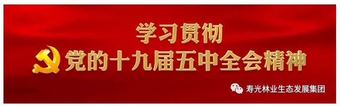 伟意国际(中国区)官方网站